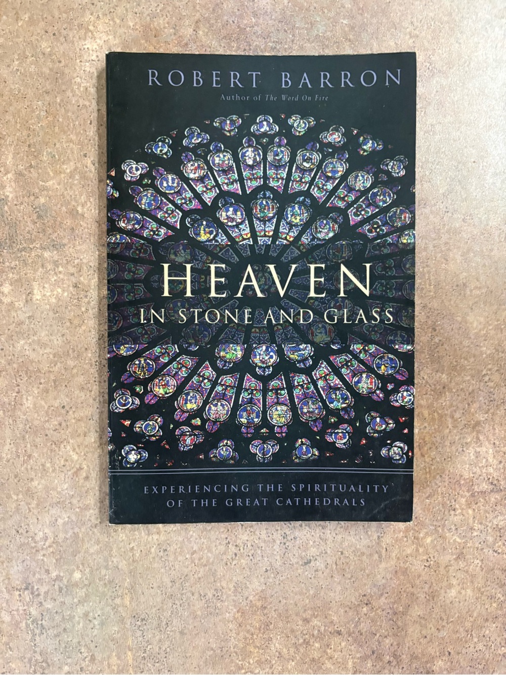 Heaven in Stone and Glass by Robert Barron - Catholic Cathedral Spirituality VG